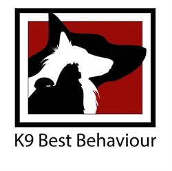 K-9 Best Behaviour Dog Training, Burnaby, BC opening hours