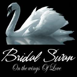 Bridal Swan, Aurora, ON opening hours