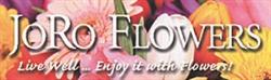 Joro Flowers, St. George Brant, ON opening hours
