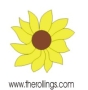 The Rolling Shades & Shutters in Mississauga, ON (Erin Mills) - Opening Hours