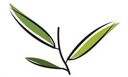 Lakeview Physiotherapy & Acupuncture in Calgary, AB (Lakeview) - Opening Hours