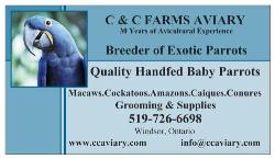C & C Farms Aviary & Exotic Pets, Windsor, ON opening hours