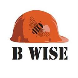 B Wise Contractors in Edmonton, AB (West Edmonton) - Opening Hours