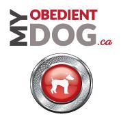 My Obedient Dog, Richmond Hill, ON opening hours