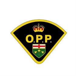 Tecumseh Police, Windsor, ON opening hours