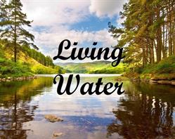 Living Water Community Christian Fellowship, New Hamburg, ON opening hours