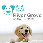 River Grove Animal Hospital, Mississauga, ON opening hours