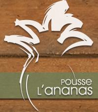 Pousse l'ananas in Montréal, QC (La Petite-Patrie) - Opening Hours