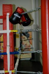 Nexus Martial Arts Studio, Beamsville, ON opening hours