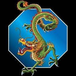 Caged Dragon Mixed Martial Arts, Brantford, ON opening hours