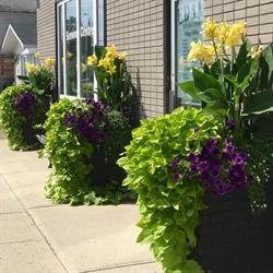 Village Of, Edam, SK opening hours