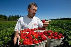 Dan S Farm & Country Market, Saanichton, BC opening hours