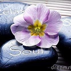 Bio Link Massage Therapy Clinic in Edmonton, AB (West Edmonton) - Opening Hours