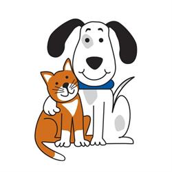 Roncy Village Veterinary Clinic in Toronto, ON (Roncesvalles Village) - Opening Hours