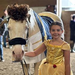 A & t Equestrian Ctr, Surrey, BC opening hours