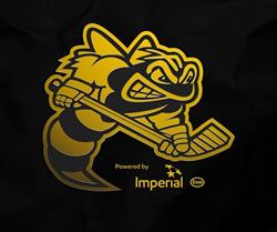 Sarnia Sting Hockey Club, opening hours