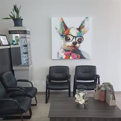 Diamond Optical Vision Care in Calgary, AB (Shawnessy) - Opening Hours