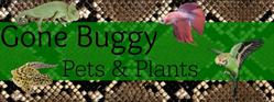Gone Buggy Pets & Plant, Carstairs, AB opening hours