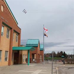 Newcastle Public School, opening hours