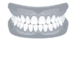 Kindersley Denture Clinic, opening hours