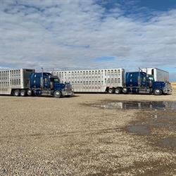 Gateway Carriers Ltd., Taber, AB opening hours