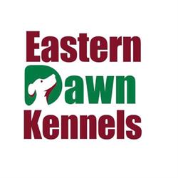 Eastern Dawn Kennels, Vernon Bridge, PE opening hours