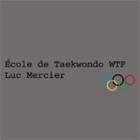 Ecole de Taekwondo Luc Mercier (W T F style Olympique) (Taekwondo WTF Luc Mercier), Gatineau, QC opening hours