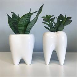 Sydney Family Dental Centre, opening hours