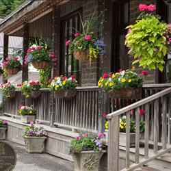 Brigadoon, Oxford Mills, ON opening hours