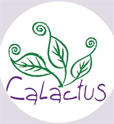 Calactus Cafe Restaurant, Moncton, NB opening hours