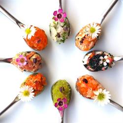 Maiko Sushi des sources, Dollard-des-Ormeaux, QC opening hours