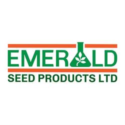 Emerald Seed Products, Avonlea, SK opening hours
