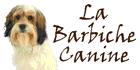 Animalerie La Barbiche Canine, Saint-Georges, QC opening hours