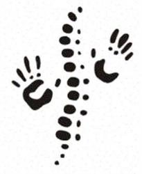 Antigonish Chiropractic, opening hours