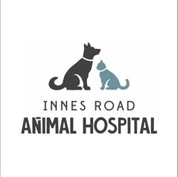 Innes Road Animal Hospital, Ottawa, ON opening hours