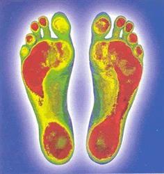 Courtenay Orthotics, opening hours
