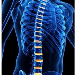 Carry Drive Chiropractic & Massage, Medicine Hat, AB opening hours