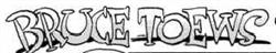 Bruce Toews & Co., Certified General Accountant in Calgary, AB (Willow Park) - Opening Hours