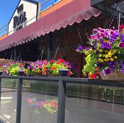 Fool & Flagon in Hamilton, ON (Nashdale) - Opening Hours