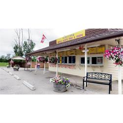 Freeze King, Seaforth, ON opening hours