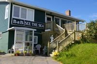 See The Sea, Torbay, NL opening hours