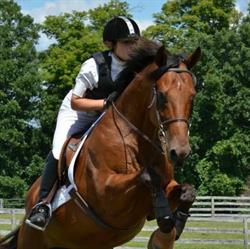 Maplegrove Equestrian Centre, Essex, ON opening hours