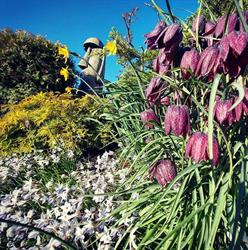Sticks n Stones Nursery on Dogwood, Campbell River, BC opening hours