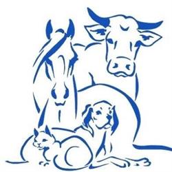 Park Range Veterinary Services, Prince Albert, SK opening hours