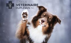 Clinique Vétérinaire Duplessis Inc, Québec, QC opening hours