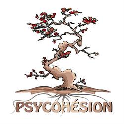 Psycohesion Groupe-Entraide, Salaberry-de-Valleyfield, QC opening hours