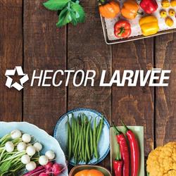 Larivee, Hector Inc. in Montréal, QC (Sainte-Marie) - Opening Hours
