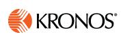 Kronos Systems Canada Inc., Montréal, QC opening hours