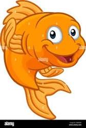 Poissonnerie Blanchette Inc., Sainte-Anne-des-Monts, QC opening hours