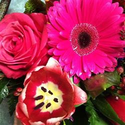 Bernadette's Flowers, Charlottetown, PE opening hours